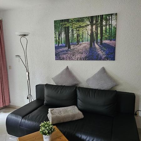 Residenz Schauinsland Todtnauberg - Fewo 17 - Sauna - Spielzimmer Fuer Kinder - Naehe Feldberg Exterior foto