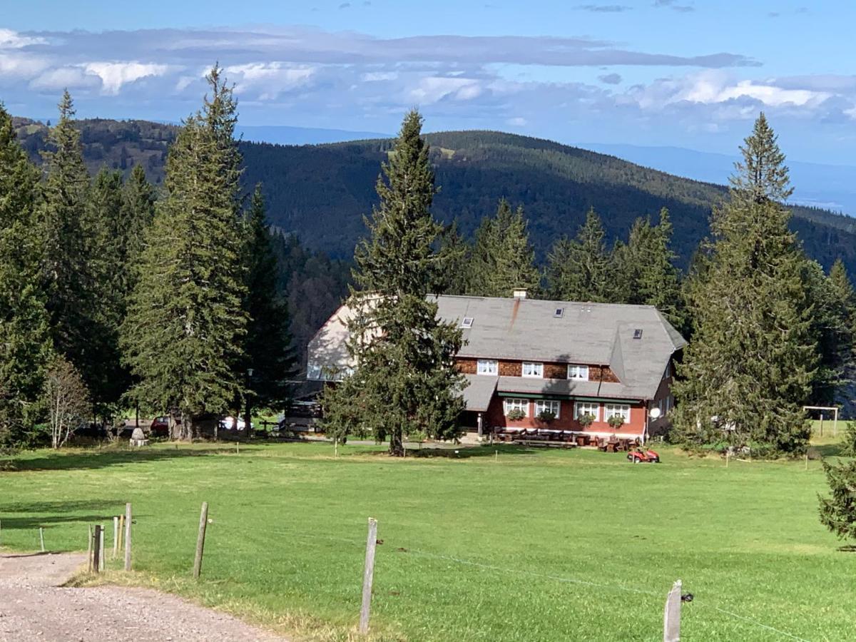 Residenz Schauinsland Todtnauberg - Fewo 17 - Sauna - Spielzimmer Fuer Kinder - Naehe Feldberg Exterior foto