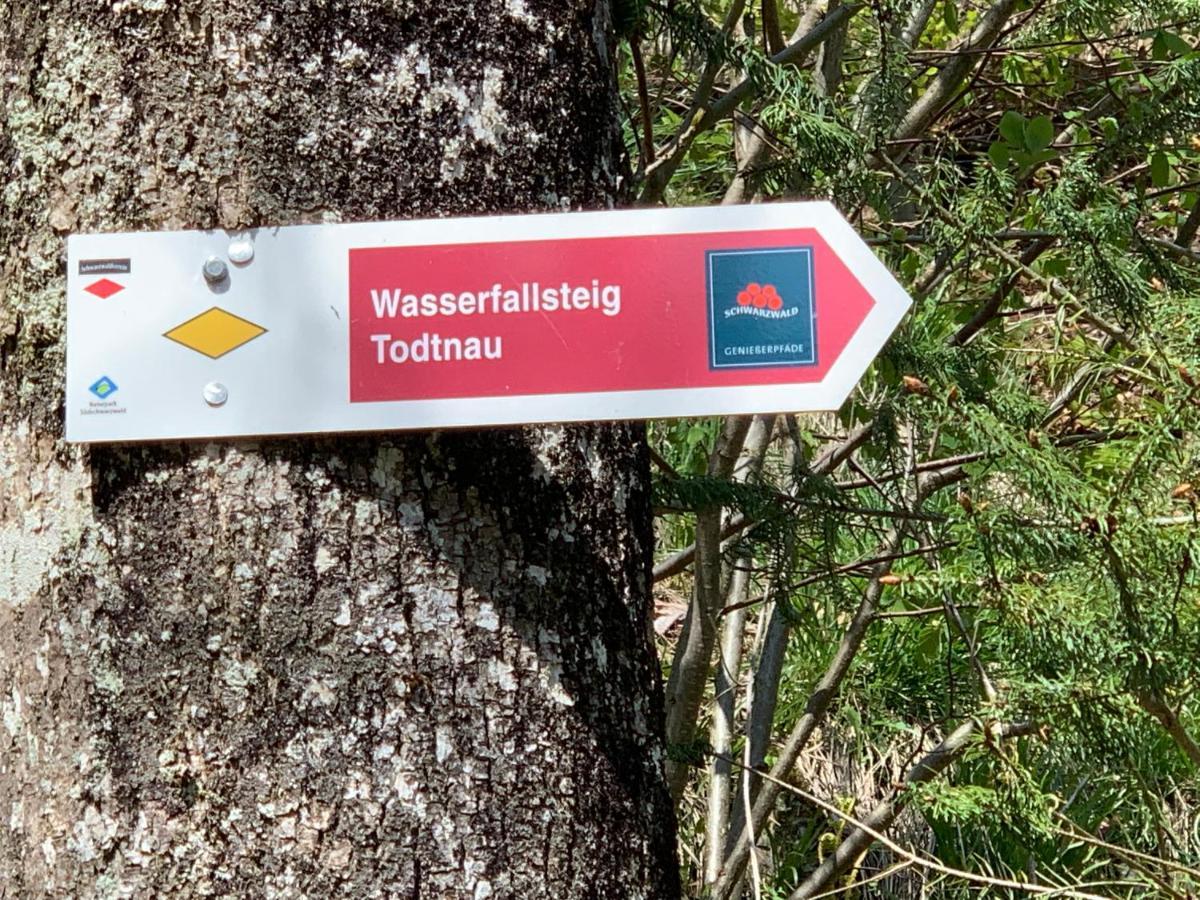 Residenz Schauinsland Todtnauberg - Fewo 17 - Sauna - Spielzimmer Fuer Kinder - Naehe Feldberg Exterior foto